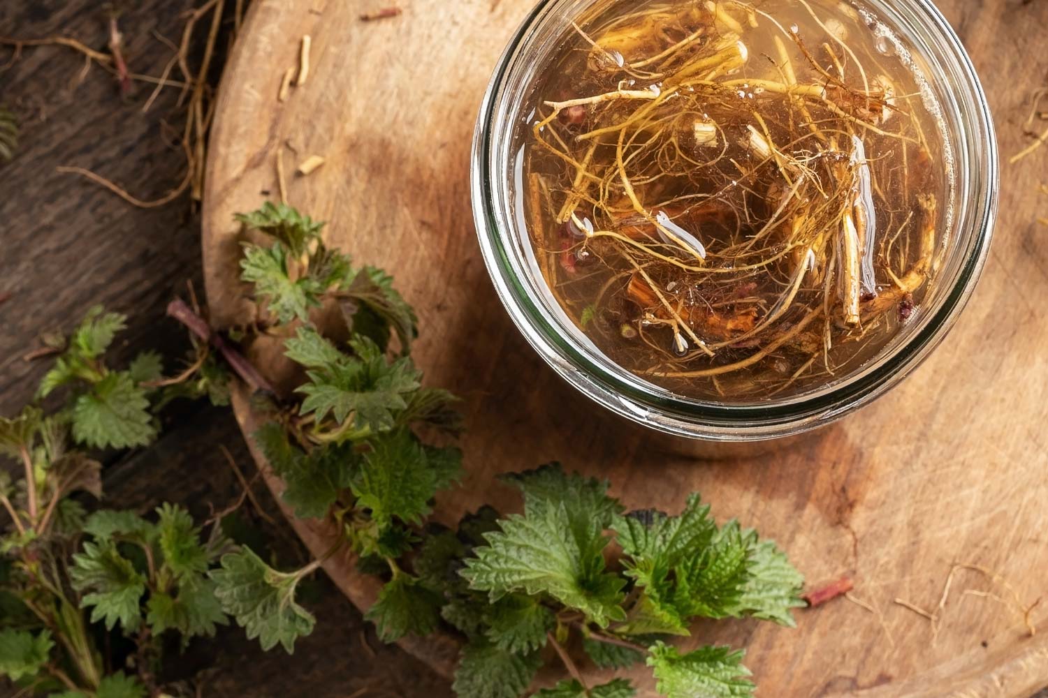 Nettle root tincture for immune support