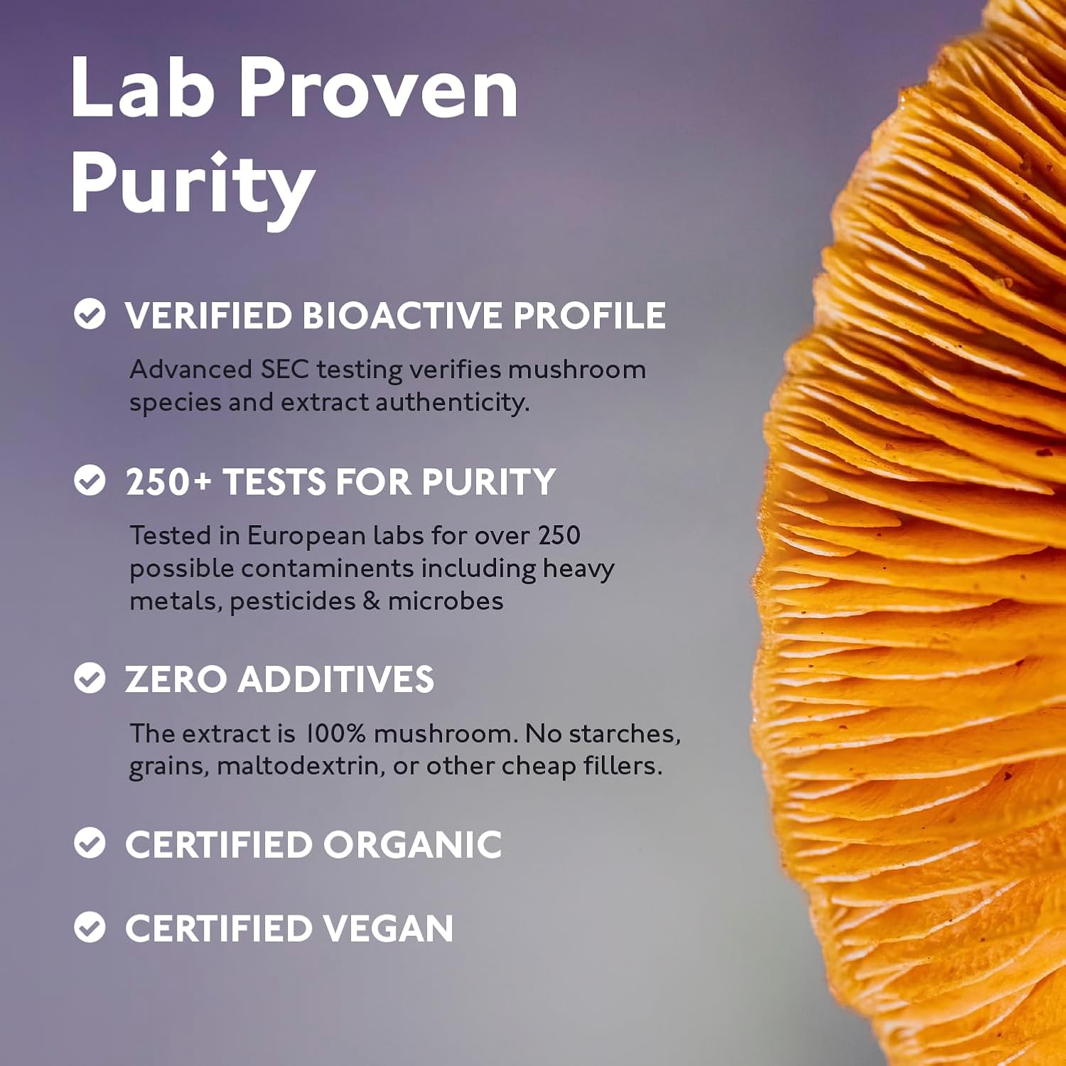 Organic 8 Mushroom Blend