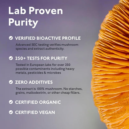 Organic 8 Mushroom Blend