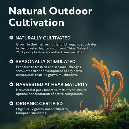 Organic 8 Mushroom Blend