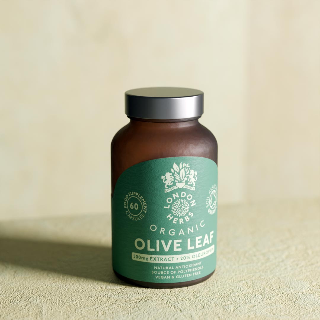 Bottle of organic olive leaf extract capsules on a plaster surface.