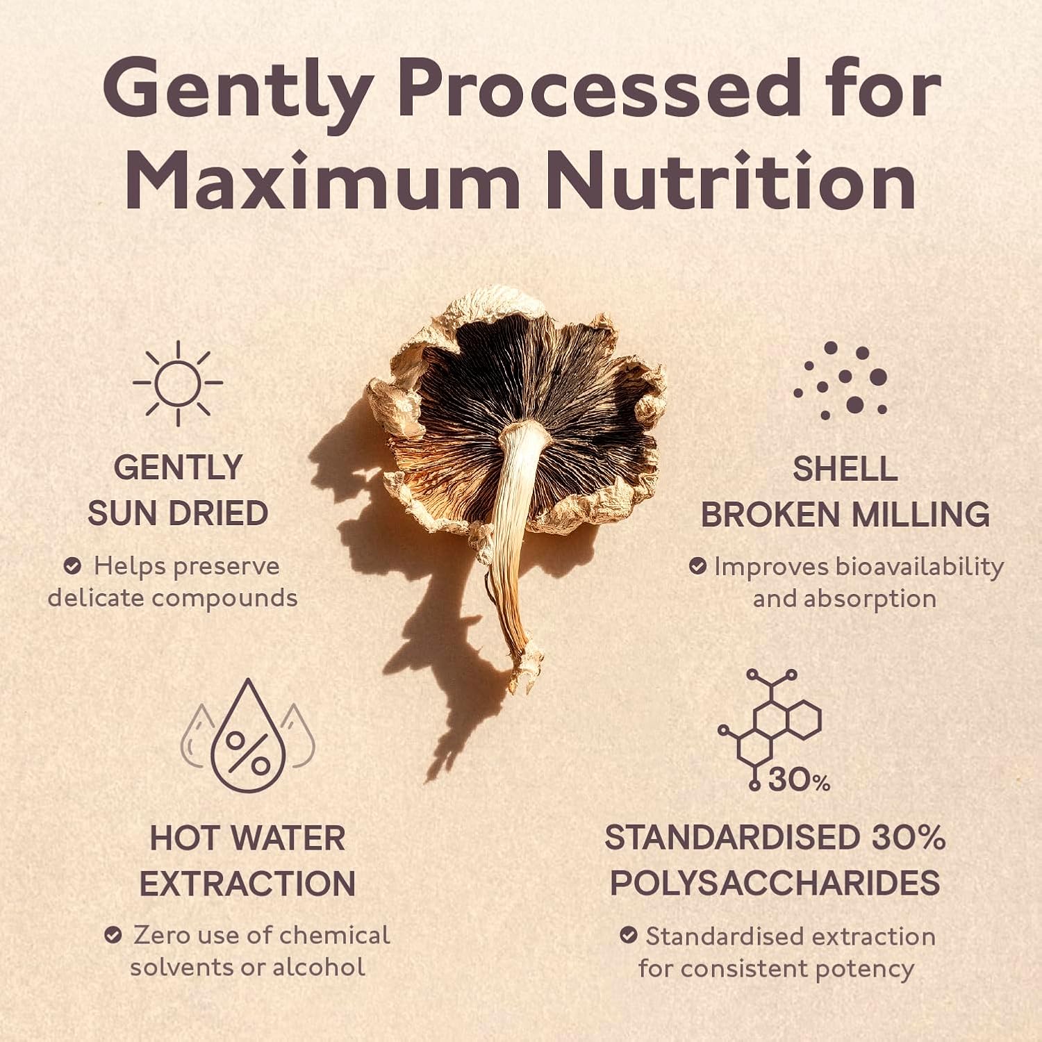 Organic 8 Mushroom Blend