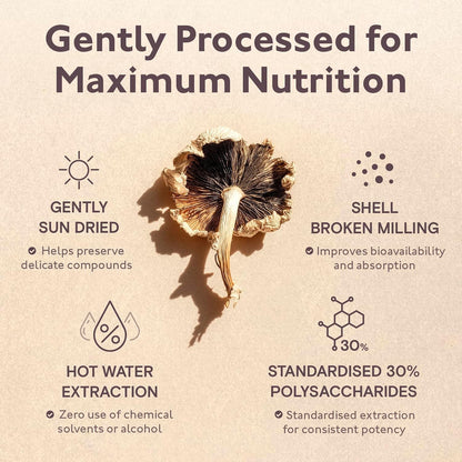 Organic 8 Mushroom Blend