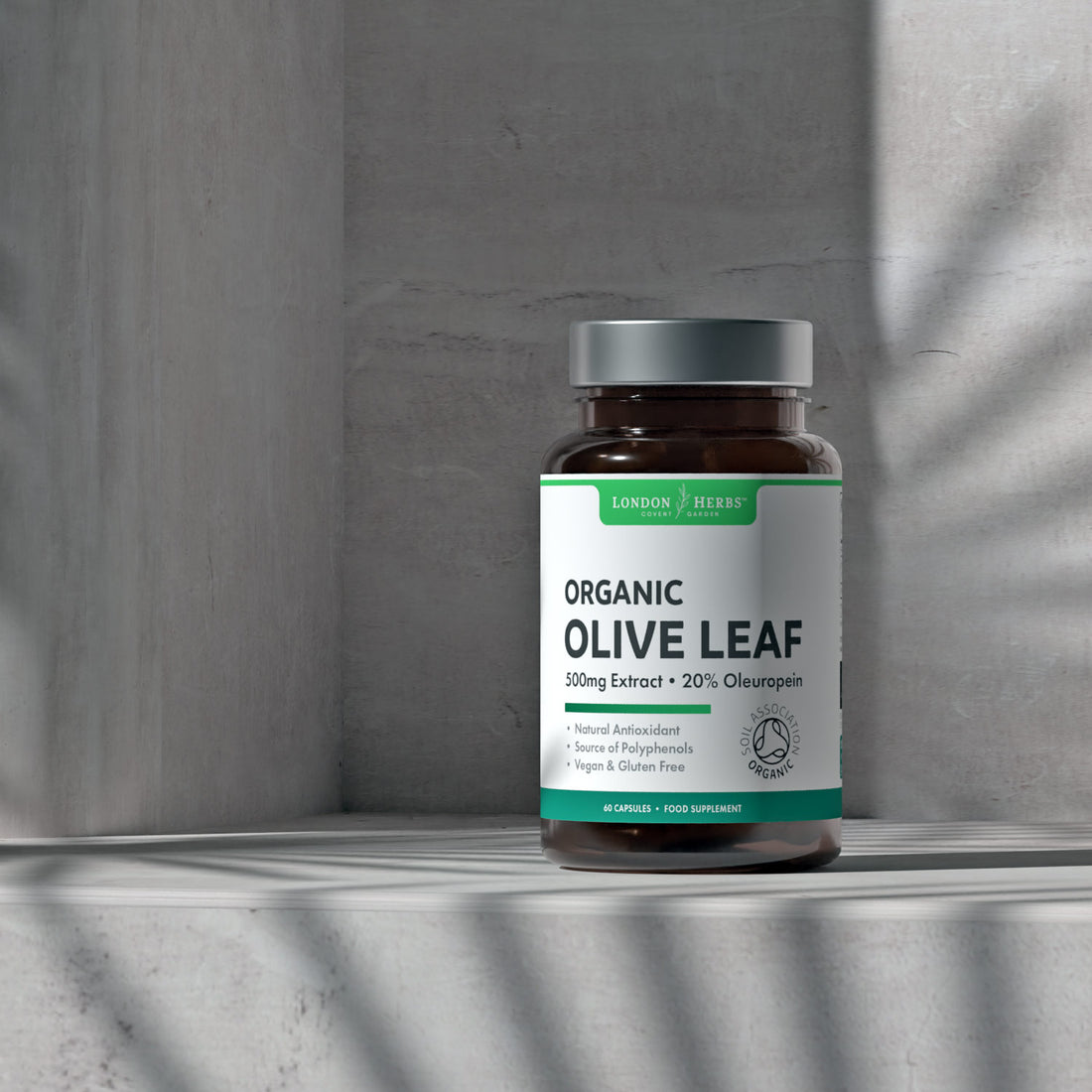Olive Leaf Extract bottle placed on concrete ledge